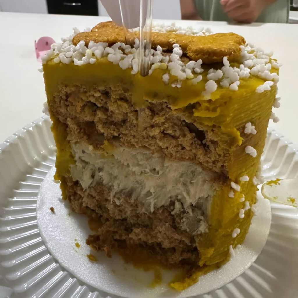 Da cozinha de casa ao sucesso: como a Cani Bravo inova no mercado pet