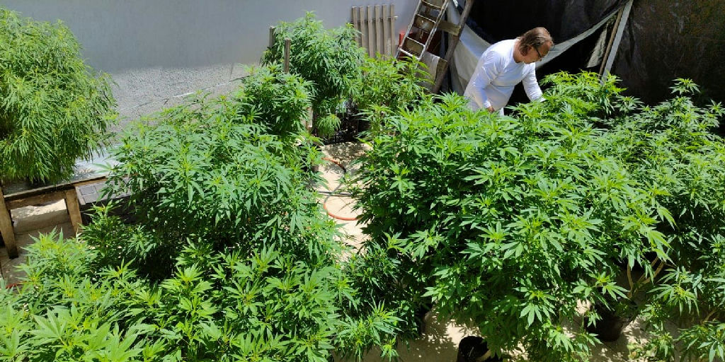 Debate sobre políticas de drogas e justiça social ganha destaque em Fortaleza