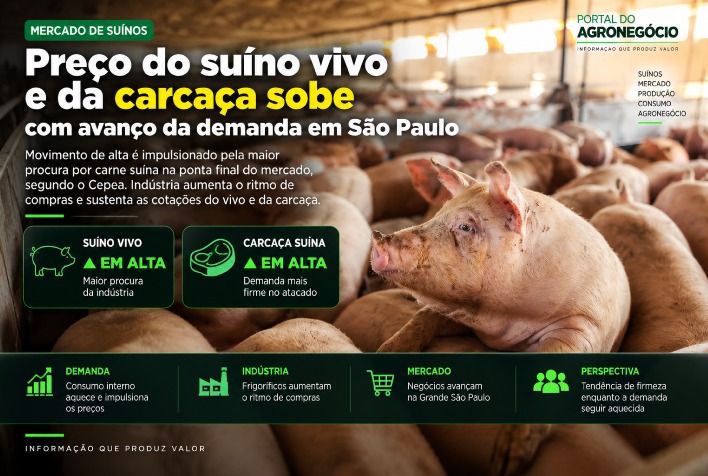 Demanda em alta eleva preços do suíno vivo e da carcaça em São Paulo