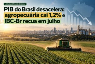 Desaceleração do PIB brasileiro: agropecuária registra queda de 1,2% e Ibc-br tem recuo em julho