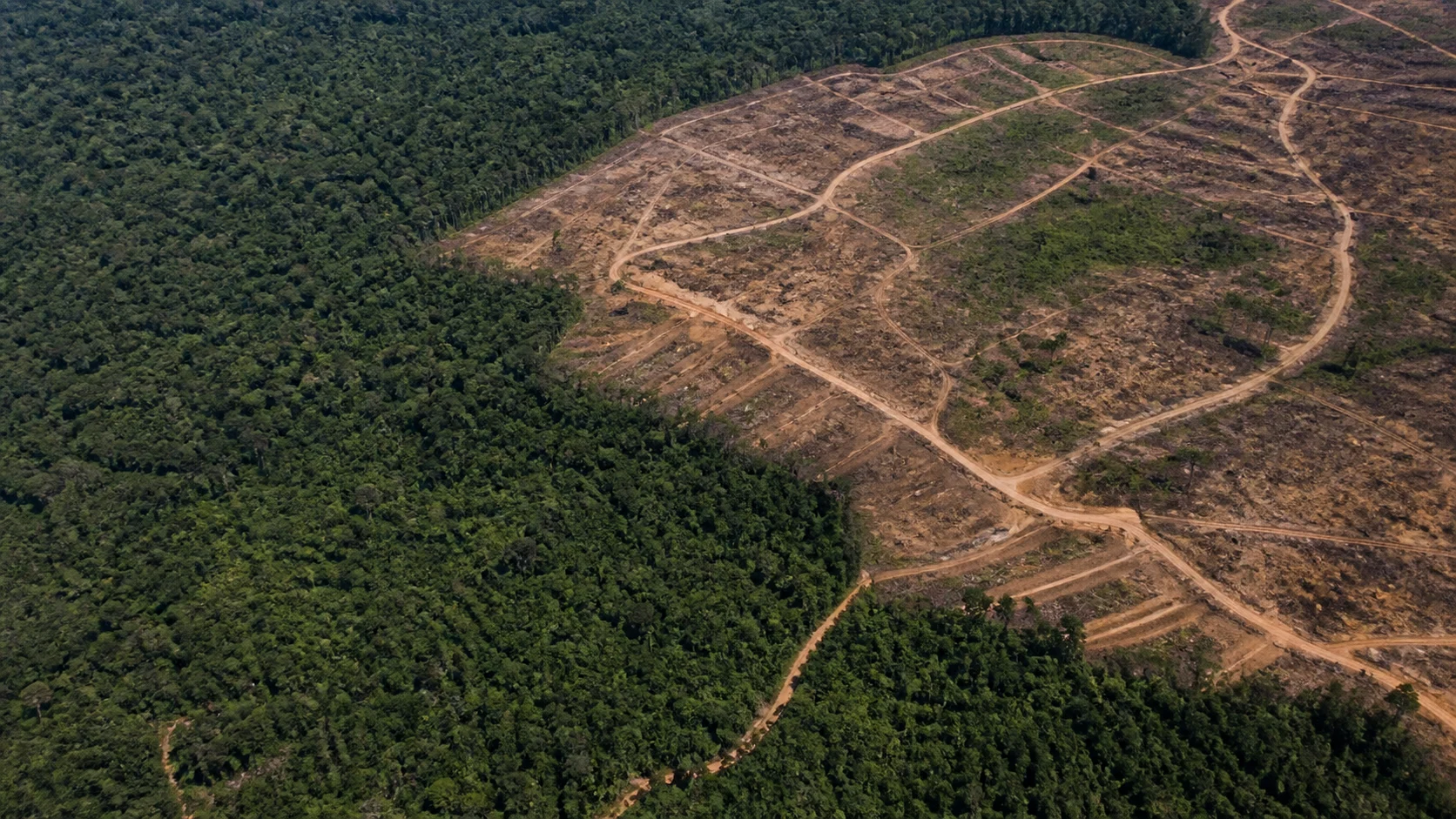 Desmatamento no Cerrado recua 18,9% em agosto enquanto Amazônia registra alta de 12,1%