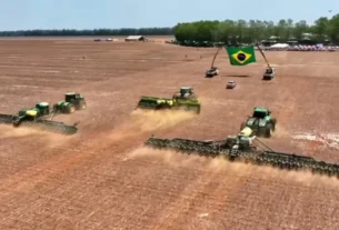 El Niño demanda atenção redobrada no plantio da soja, alerta meteorologista