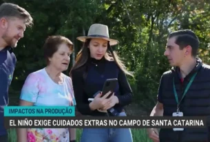 El Niño exige reforço no manejo de solo e prevenção de danos no campo catarinense