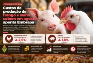 Embrapa registra alta nos custos de suínos e aves em agosto devido ao preço da ração