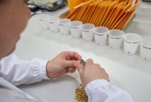 Embrapa Soja promove curso para formação de classificadores de soja em Londrina