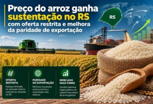 Escassez de oferta e exportações aquecidas impulsionam cotação do arroz no Rio Grande do Sul