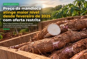 Escassez e chuvas elevam preço da mandioca ao patamar mais alto desde fevereiro de 2025