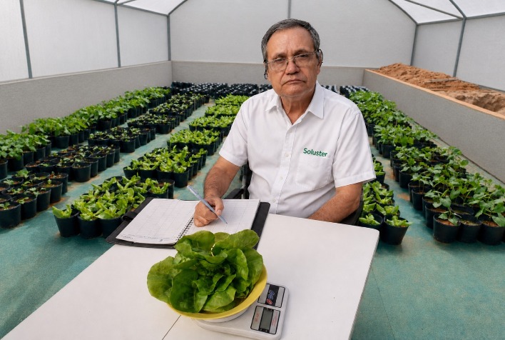 Estudo da UFV transforma manejo agrícola ao aplicar silicatos na nutrição e correção do solo