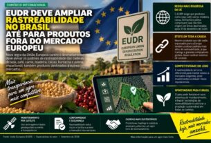 EUDR: novas regras de rastreabilidade podem impactar produtos brasileiros além da Europa