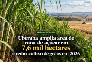 Expansão da cana-de-açúcar em Uberaba transforma cenário agrícola em 2026