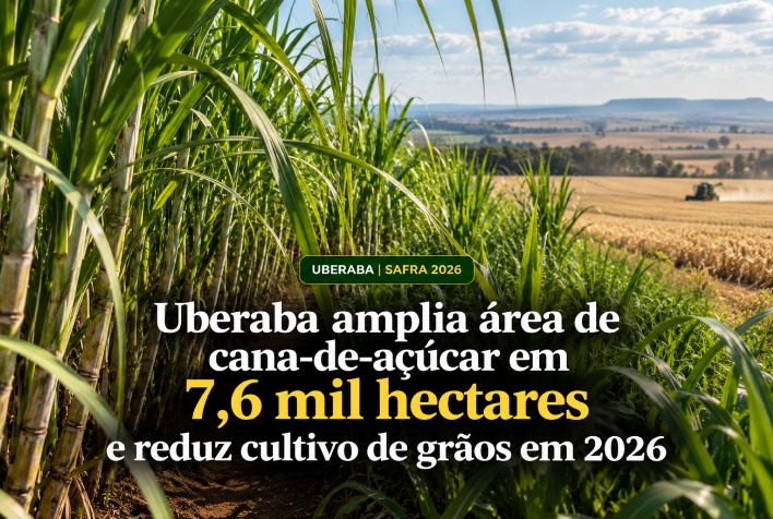 Expansão da cana-de-açúcar em Uberaba transforma cenário agrícola em 2026