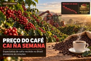 Expectativa de safra recorde faz preço do café cair no Brasil