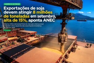 Exportação de soja brasileira mantém ritmo forte e deve atingir 8 milhões de toneladas