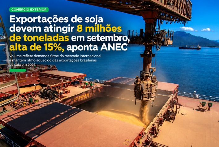 Exportação de soja brasileira mantém ritmo forte e deve atingir 8 milhões de toneladas