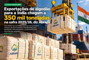 Exportações de algodão para a Índia atingem 350 mil toneladas na safra 2025/26