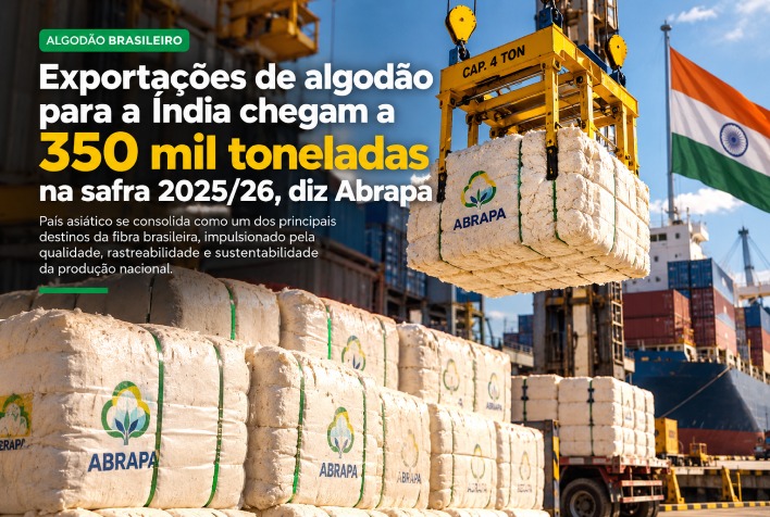 Exportações de algodão para a Índia atingem 350 mil toneladas na safra 2025/26