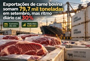 Exportações de carne bovina atingem 79,7 mil toneladas em setembro, mas ritmo diário despenca 30%