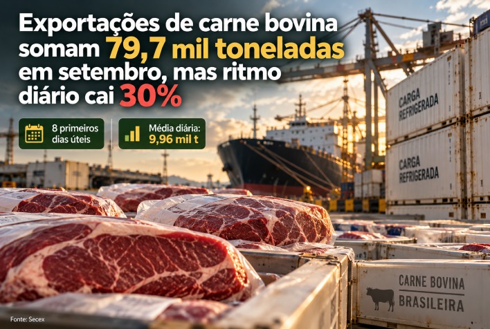 Exportações de carne bovina atingem 79,7 mil toneladas em setembro, mas ritmo diário despenca 30%