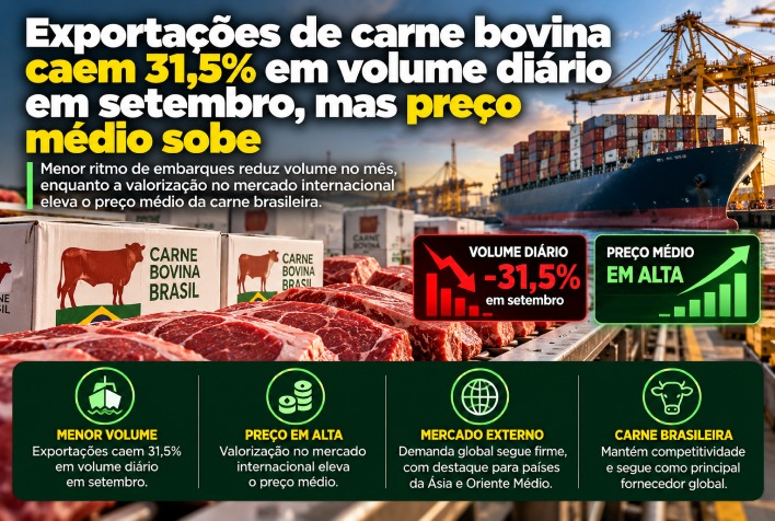 Exportações de carne bovina recuam em volume, mas alta nos preços sustenta receita