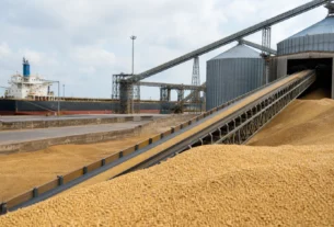 Exportações de soja dos EUA disparam 48,6% em nova semana de alta conforme dados do USDA