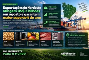 Exportações do Nordeste batem recorde mensal e garantem superávit comercial em agosto
