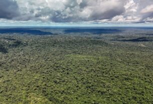Fazenda autoriza crédito de US$ 1 bilhão do BID para Eco Invest Brasil