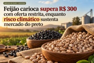 Feijão carioca ultrapassa R$ 300 e mercado do preto reage sob alerta climático