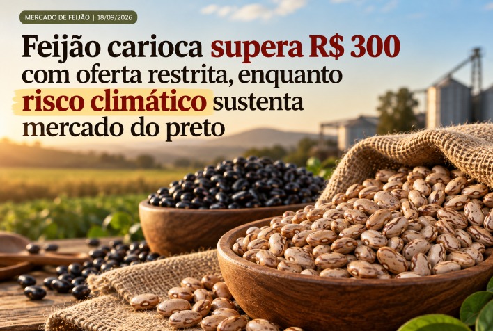 Feijão carioca ultrapassa R$ 300 e mercado do preto reage sob alerta climático