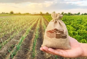 Fiagro revela disparidade: investidores profissionais detêm mais de 70% do patrimônio