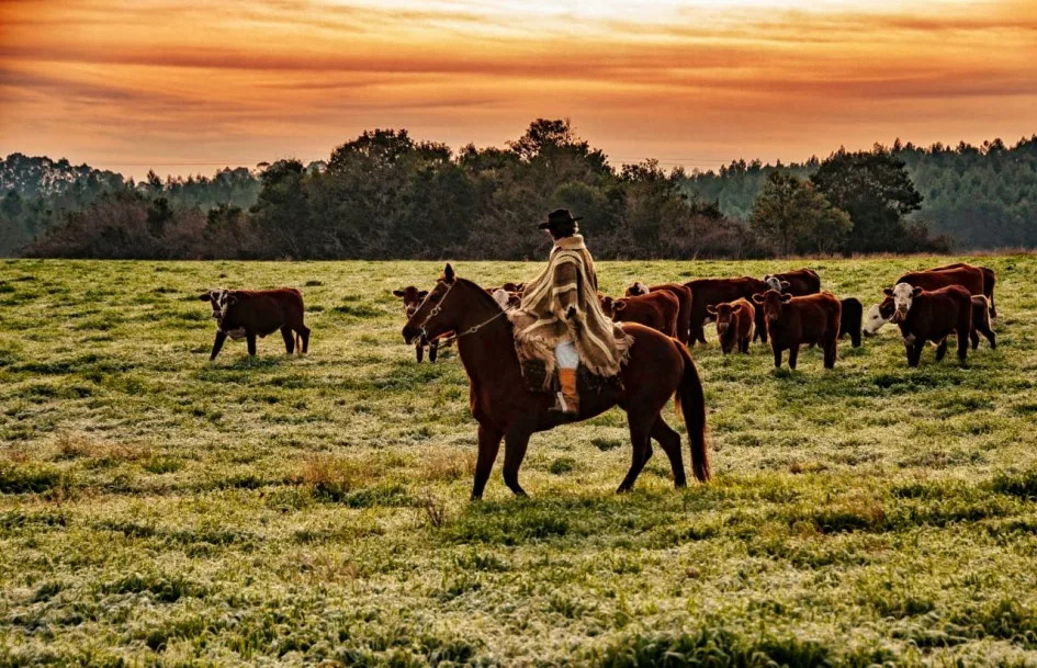 Geada e frio intenso marcam o feriado de 7 de setembro no Rio Grande do Sul