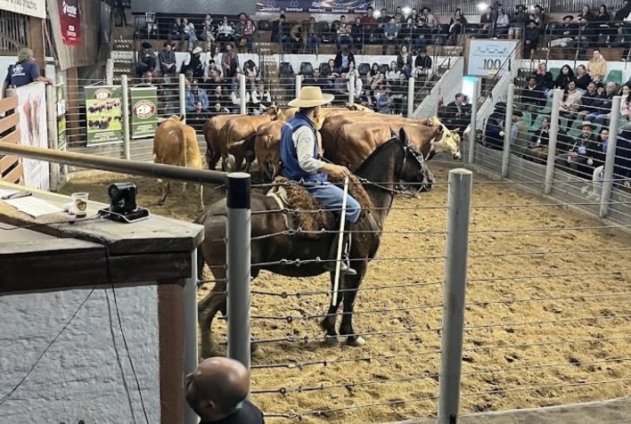 Genética bovina impulsiona remates de primavera no RS