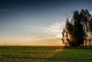 Goiás antecipa início do plantio de soja para 20 de setembro na safra 2026/27