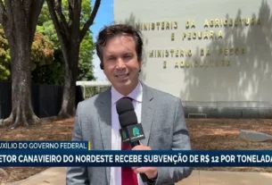 Governo federal libera subvenção de R$ 12 por tonelada para produtores de cana do Nordeste