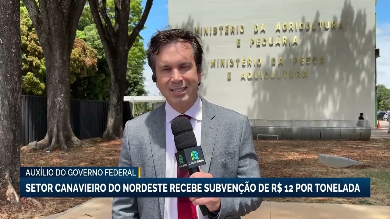 Governo federal libera subvenção de R$ 12 por tonelada para produtores de cana do Nordeste
