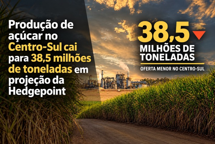 Hedgepoint revisa para baixo safra de açúcar no Centro-sul com estimativa de 38,5 milhões de toneladas
