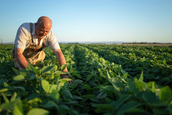 Indenizações do seguro de vida para produtores rurais em Minas Gerais superam R$ 16 milhões