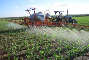 Novo método da Embrapa revela impacto ambiental até 116 vezes maior de herbicidas na cana