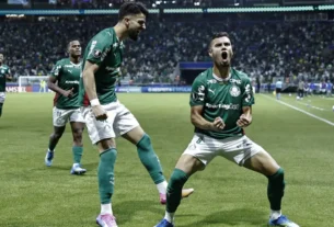 Palmeiras enfrenta o Botafogo no Rio sob pressão para manter a liderança do Brasileirão