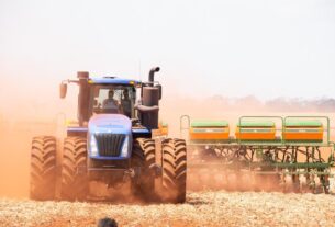 Paraná se prepara para safra de soja com plantio acelerado, indica consultoria