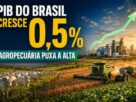 PIB do Brasil cresce 0,5% no segundo trimestre, puxado pela agropecuária