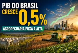 PIB do Brasil cresce 0,5% no segundo trimestre, puxado pela agropecuária