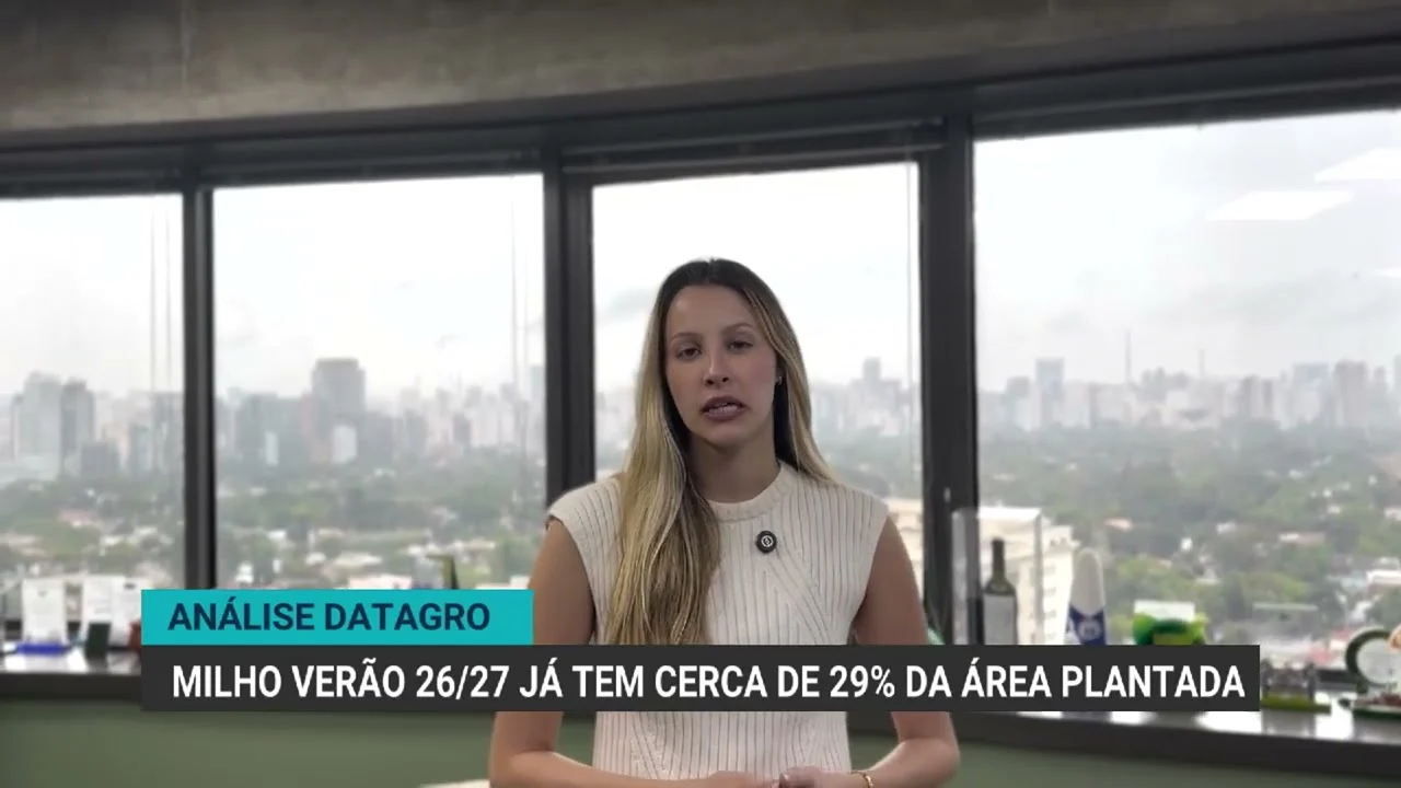 Plantio de milho verão alcança 29% da área projetada no Brasil