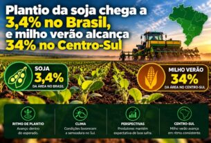 Plantio de soja atinge 3,4% no Brasil enquanto milho verão avança no Centro-sul