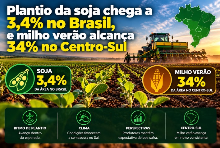 Plantio de soja atinge 3,4% no Brasil enquanto milho verão avança no Centro-sul