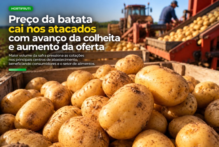 Preço da batata recua nos atacados com avanço da colheita e maior oferta