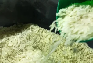 Preço do arroz mantém trajetória de alta no Rio Grande do Sul com ritmo mais lento