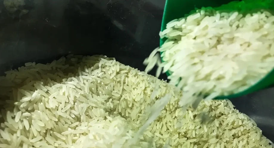 Preço do arroz mantém trajetória de alta no Rio Grande do Sul com ritmo mais lento