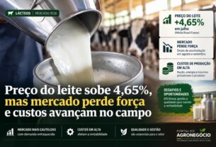 Preço do leite sobe 4,65% em julho, mas custos de produção pressionam margens no campo