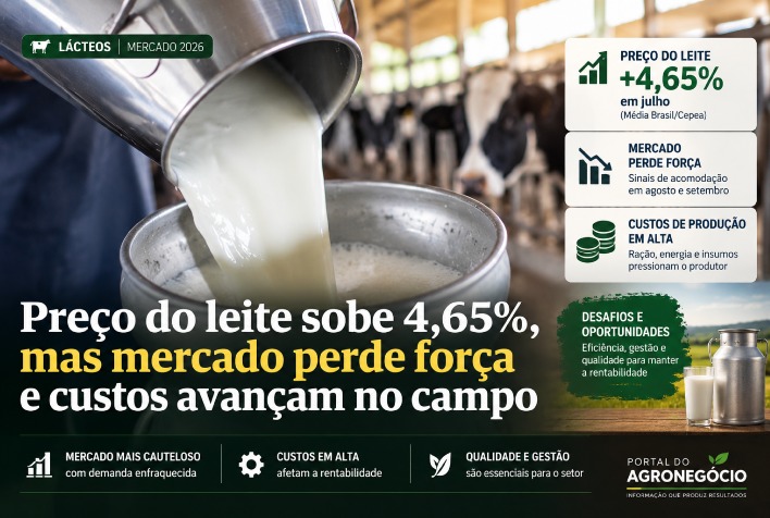 Preço do leite sobe 4,65% em julho, mas custos de produção pressionam margens no campo