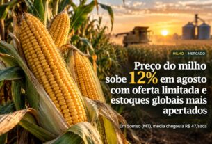 Preço do milho dispara 12% em agosto sob pressão de estoques globais reduzidos
